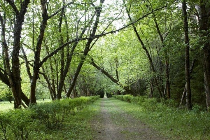 скриншот сайта Волжско-Камского заповедника