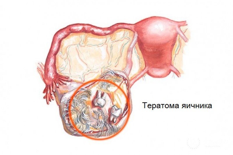Фото: Telegram-канал барнаульской детской больницы № 7