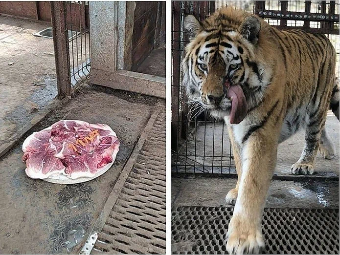 Фото: Спаси меня 