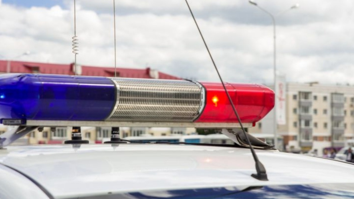     Источник: 1MI