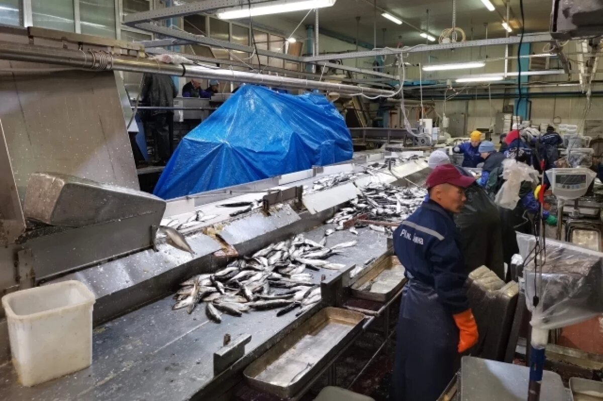    Рыбколхоз на Камчатке из-за нехватки денег продает часть флота на металл