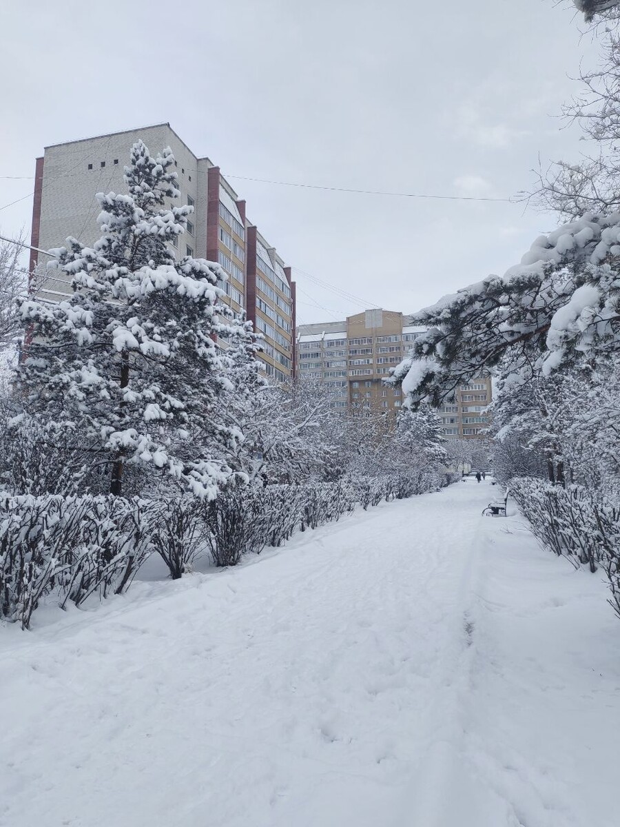    Фото: Lenta75.ru   📷   Фото: Lenta75.ru   📷   Фото: Lenta75.ru   📷   Фото: Lenta75.ru   📷   Фото: Lenta75.ru