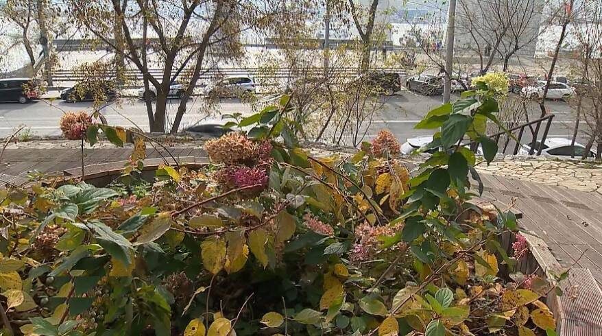    Источник фото: