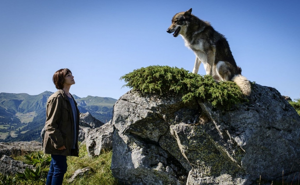 Кадр из фильма "Смерть пастуха"(2024).