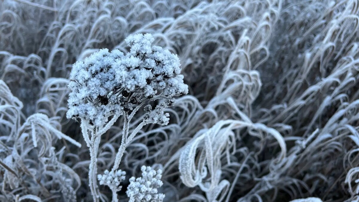     Источник: 1MI