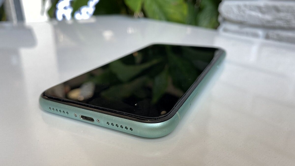    Фото: архив телеканала «Краснодар»