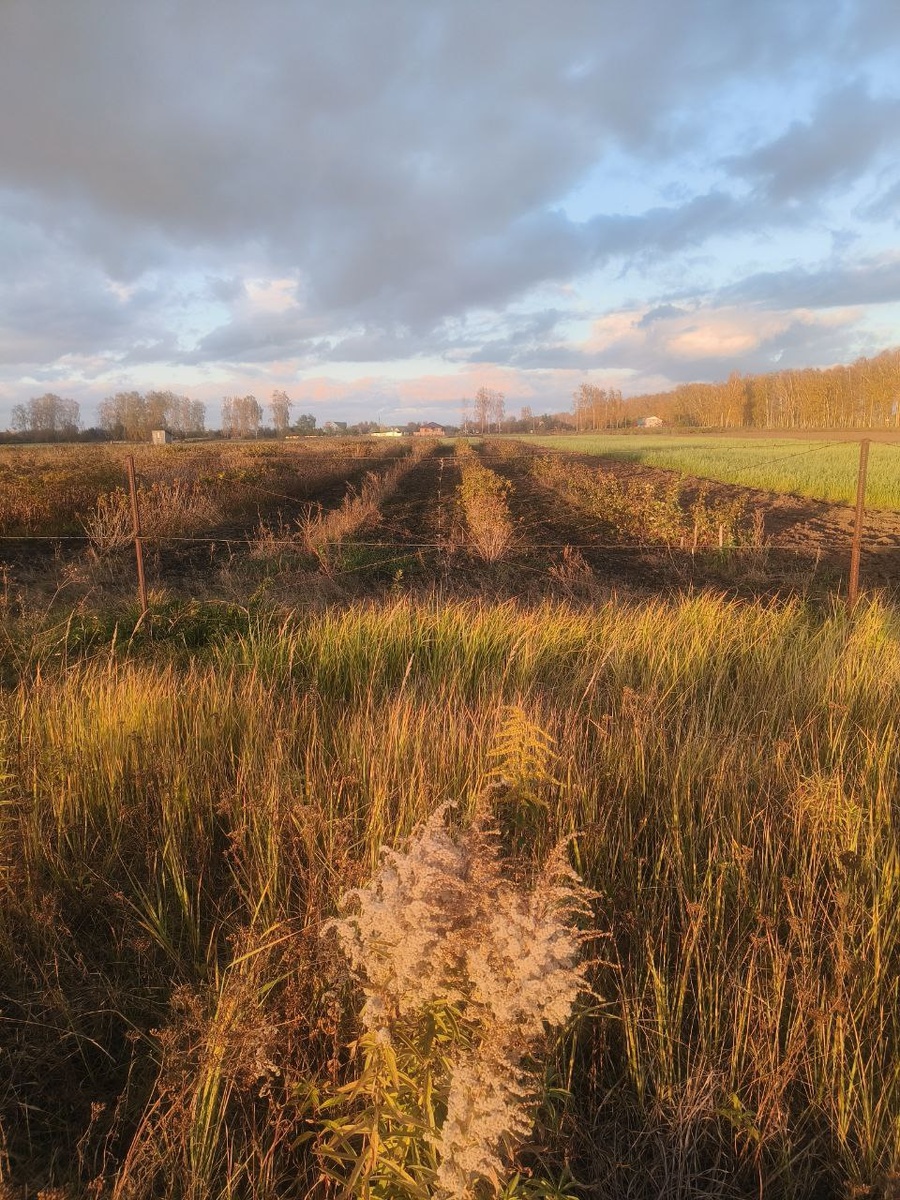 Фото Людмилы Комогорцевой