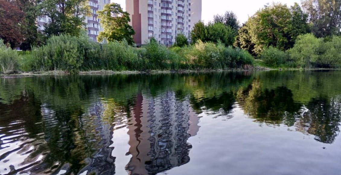    Фото: Минэкологии Московской области