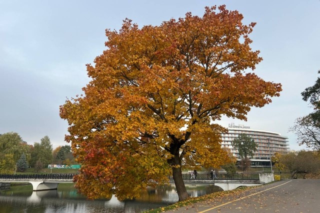   Фото из архива Калининград.Ru