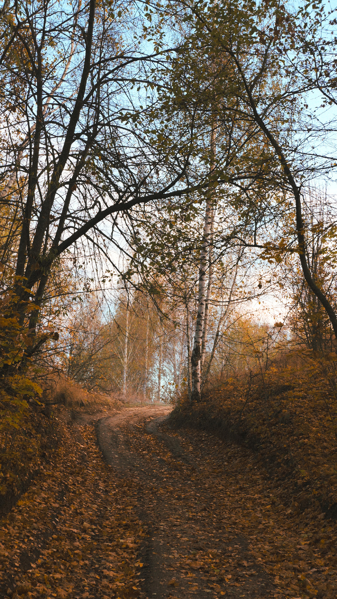 Подъем на холм у монастыря 