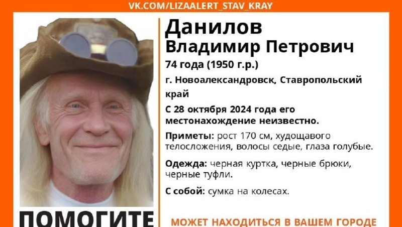      Фото: ПСО «ЛизаАлерт»