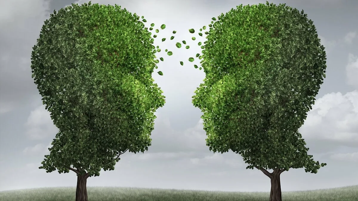 Деревья разговаривают доказали ученые. Взято из свободного доступа.