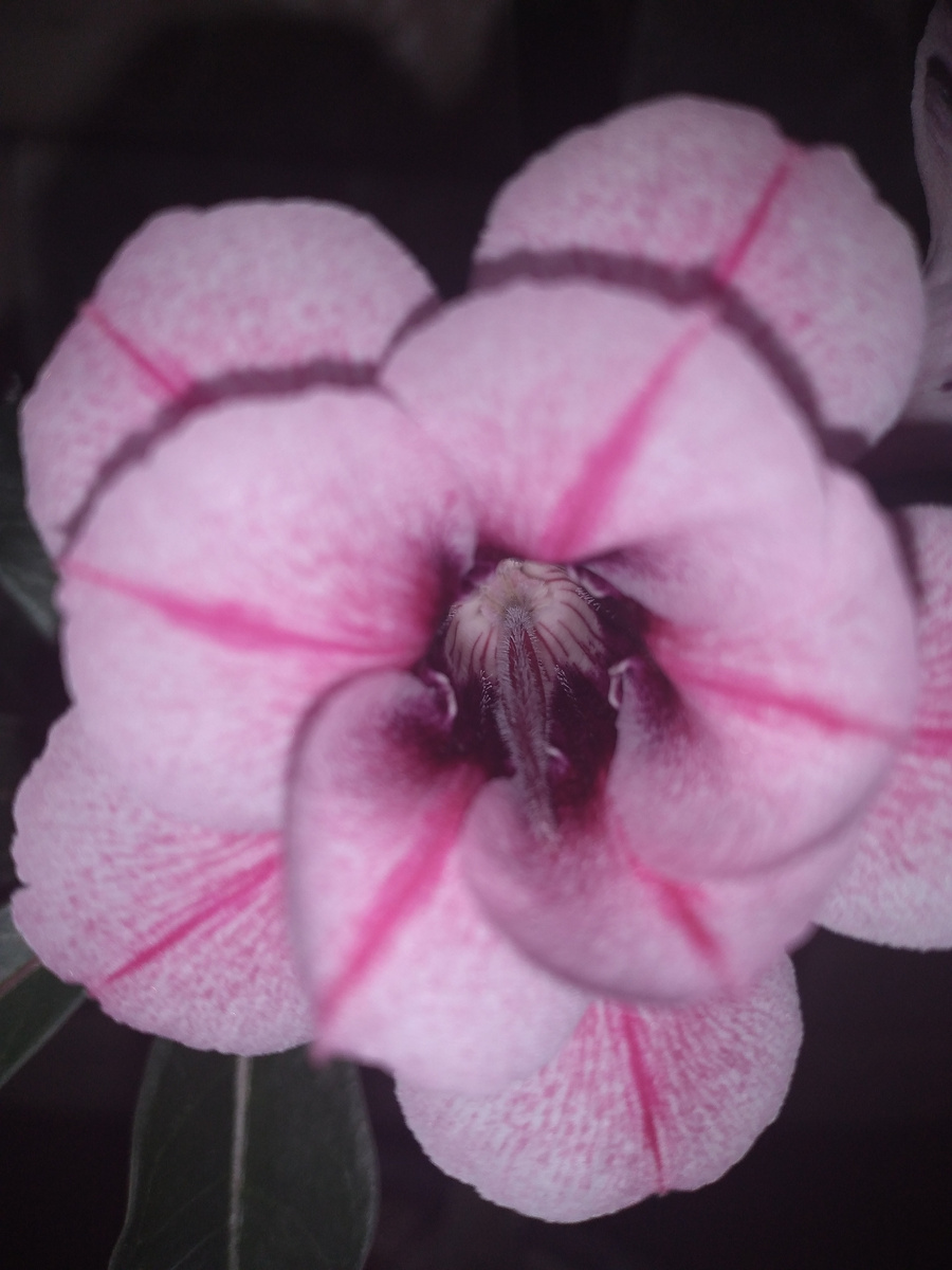 Все фото автора 