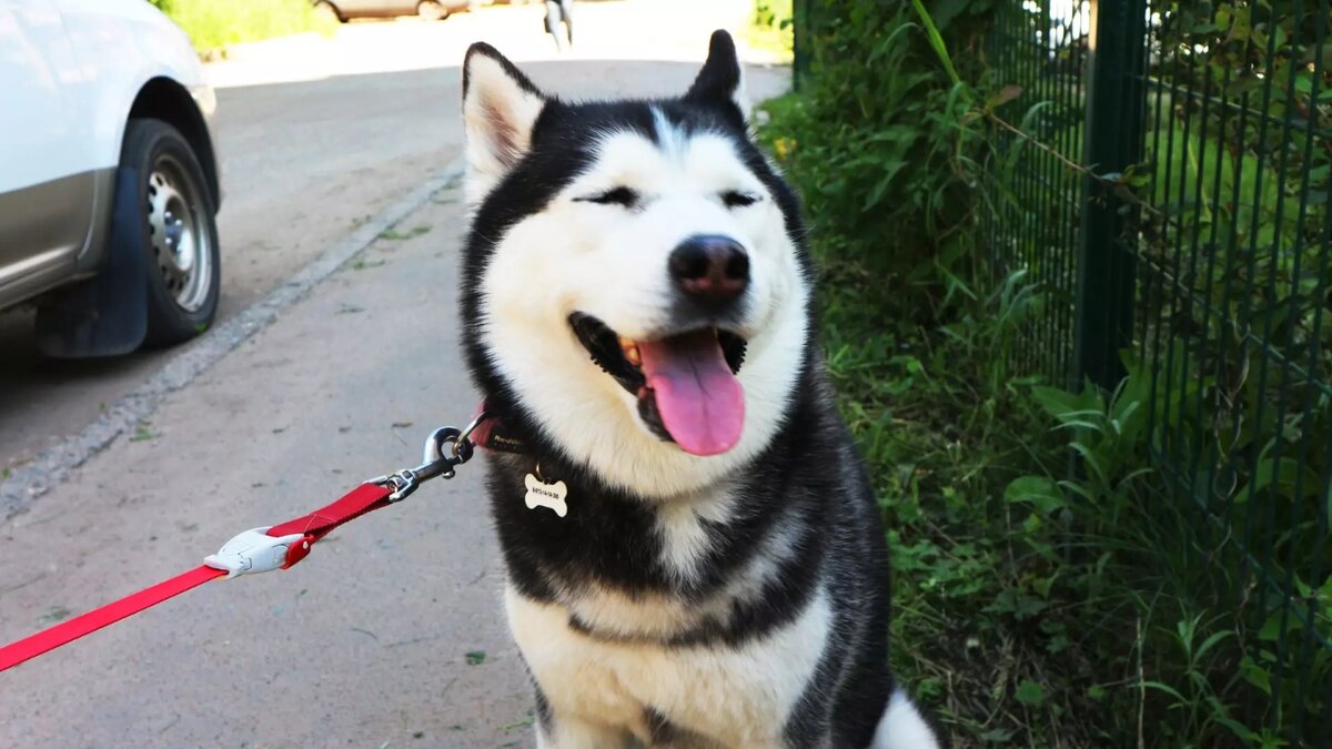     Источник: 1MI