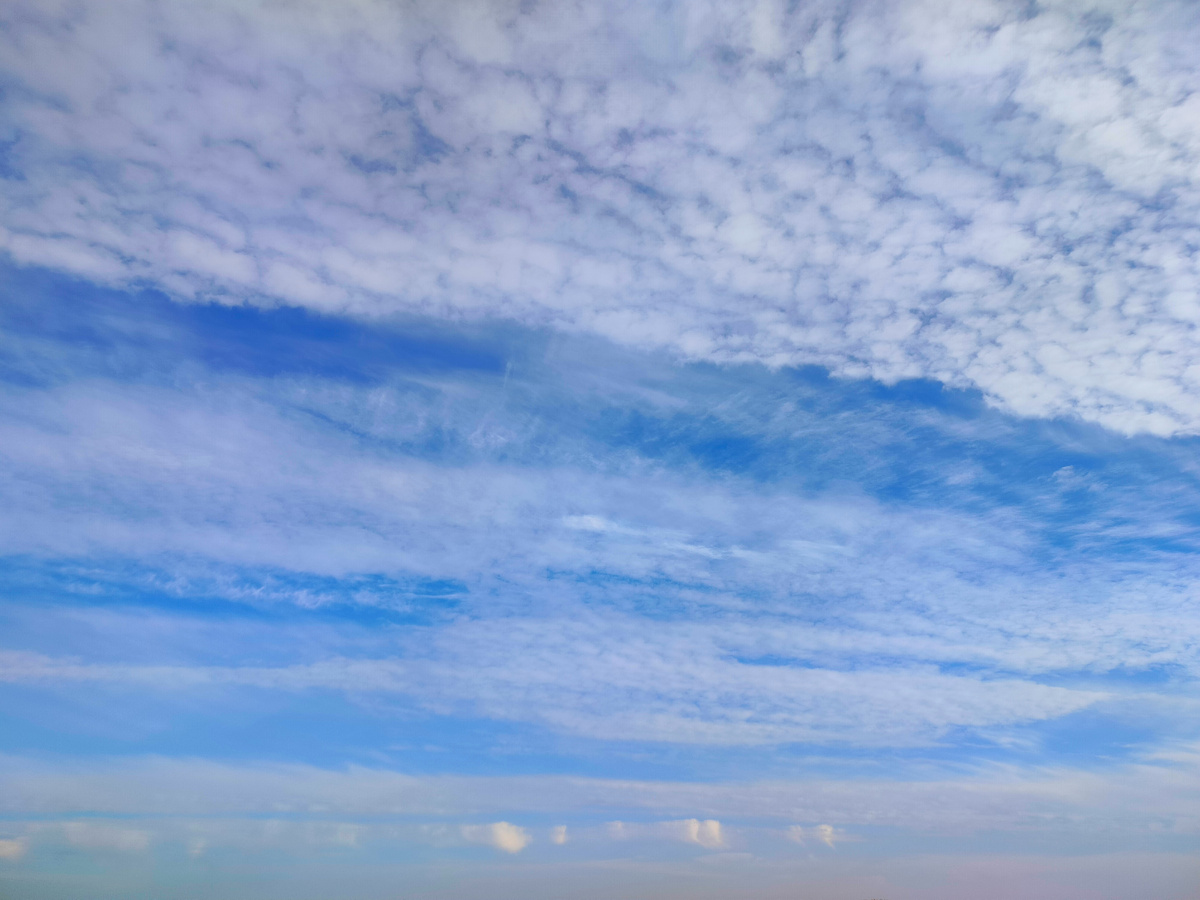 Фото из архива автора канала