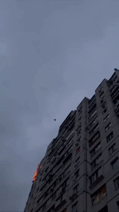    ФОТО: "Хроники Гераней"
