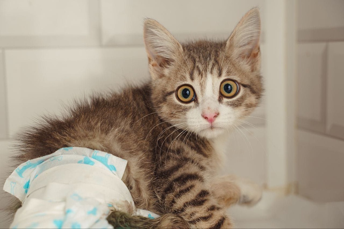 Бедняга остался инвалидом навсегда...