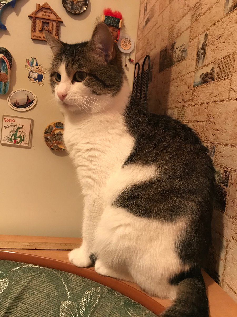 Фото автора 