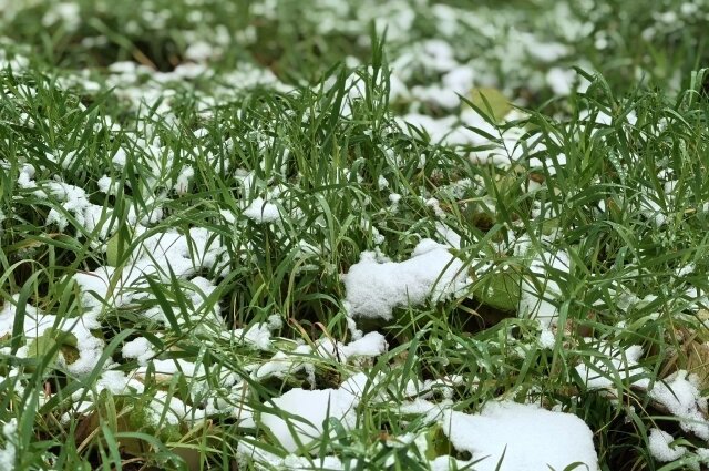    Фото:  АиФ/ Анастасия Григорьева