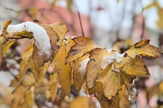    Фото:  АиФ/ Анастасия Григорьева