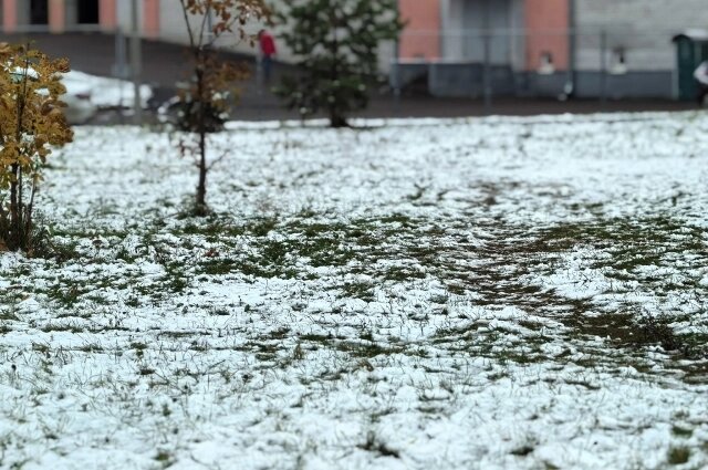    Фото:  АиФ/ Анастасия Григорьева