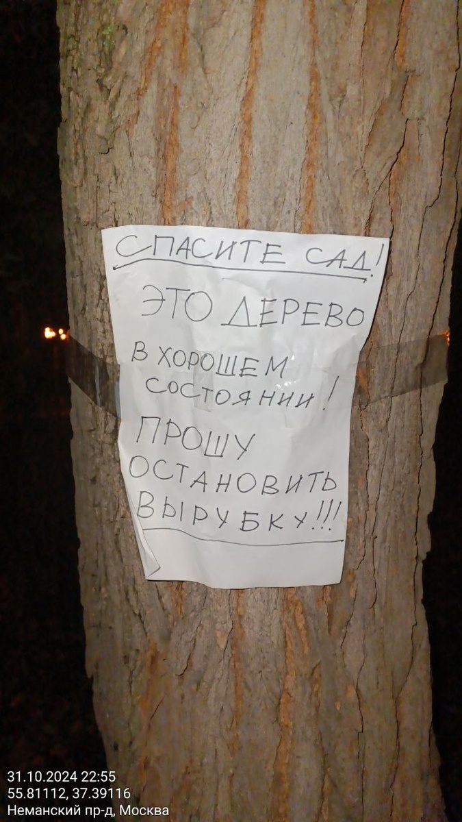 Жители района умоляют спасти чудесный яблоневый сад в Строгино 