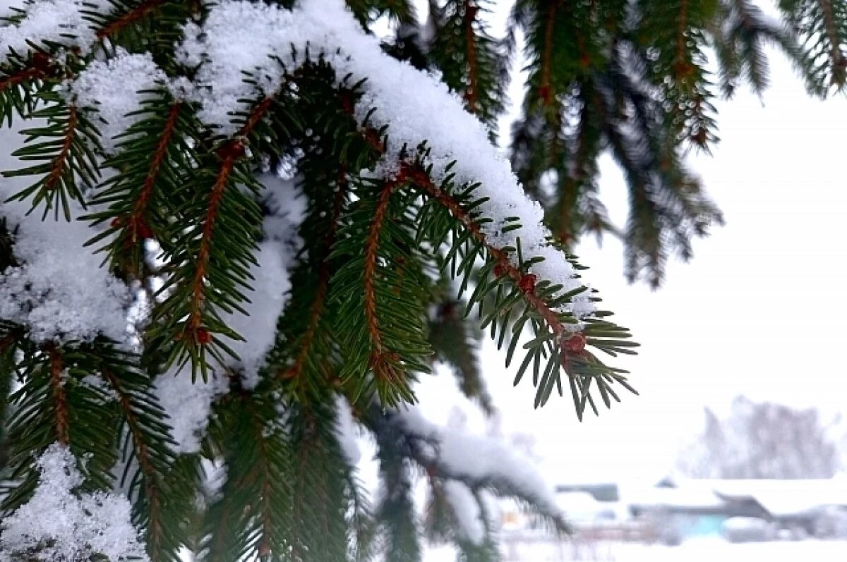    На Удмуртию надвигается североатлантический циклон «Мартина»