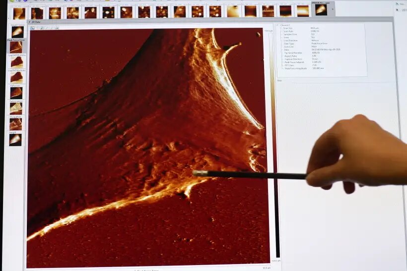 © РИА Новости. Сергей Пятаков