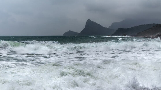    Патрушев: Запад всегда пытался вытеснить Россию с Чёрного моря Алина Городниченко