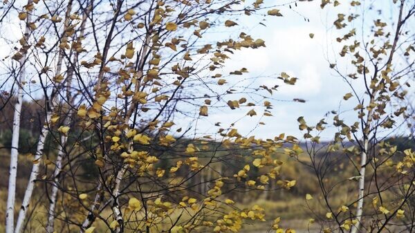    © Sputnik / Борис Ушмайкин