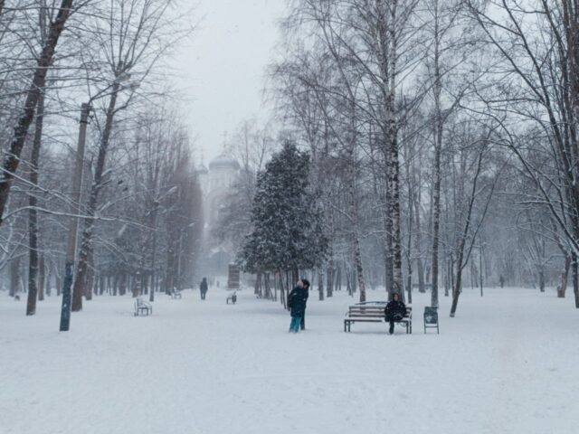     Фото: Алёна ВОРОПАЕВА