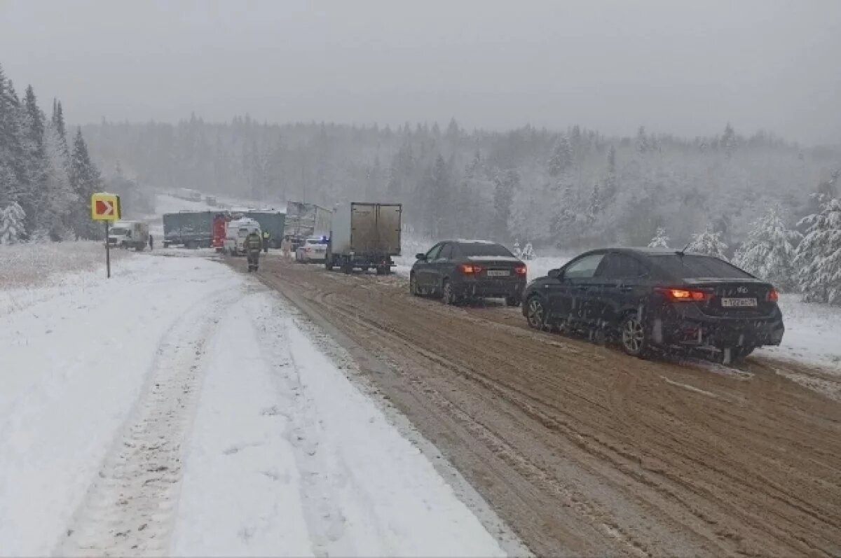    На трассе в Удмуртии произошло жёсткое столкновение двух фур