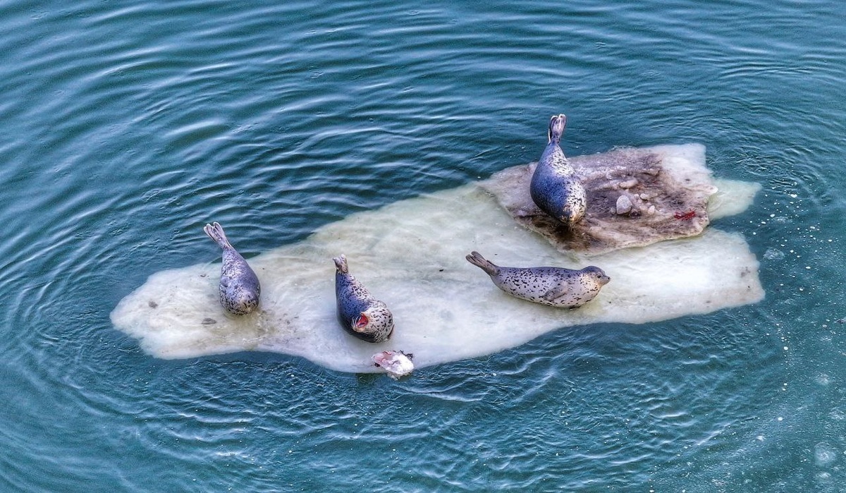 Фото: Юлия Егорова
