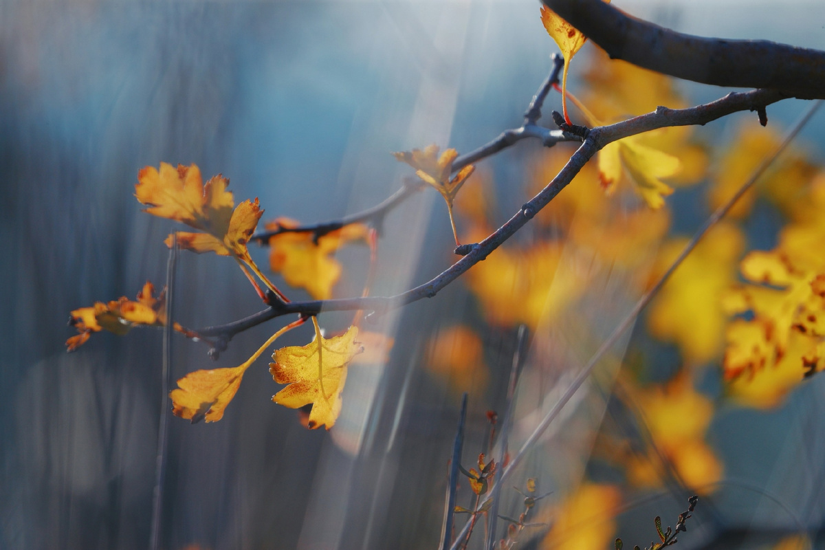 Фото: Владимир Калашников