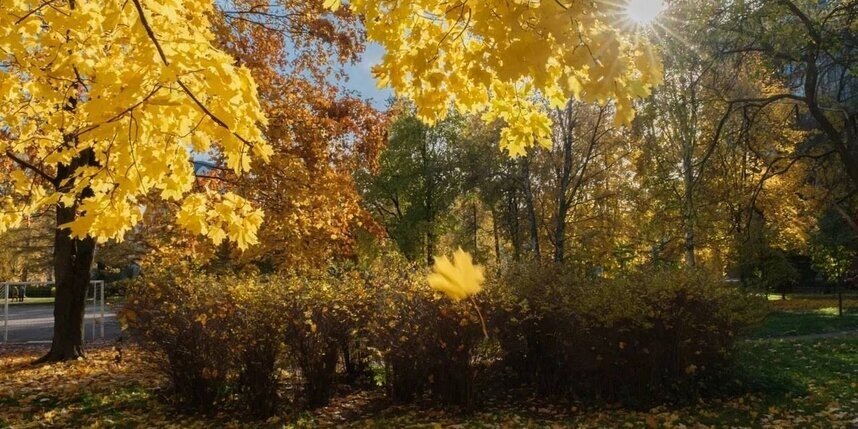    Алена Бобрович