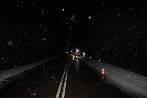    В Кумёнском районе иномарка вылетела с дороги