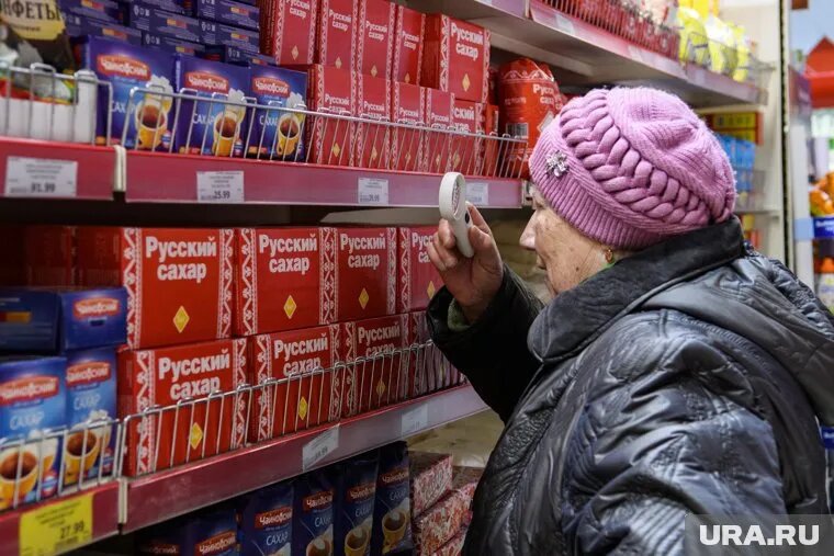 Крупные поставщики семян сахарной свеклы в Россию — компании из недружественных стран. Фото: Владимир Жабриков © URA.RU