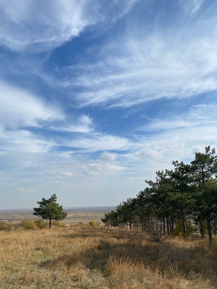 Вид на займище. / ФОТО автора