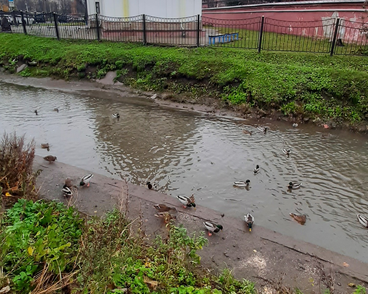 Фото автора