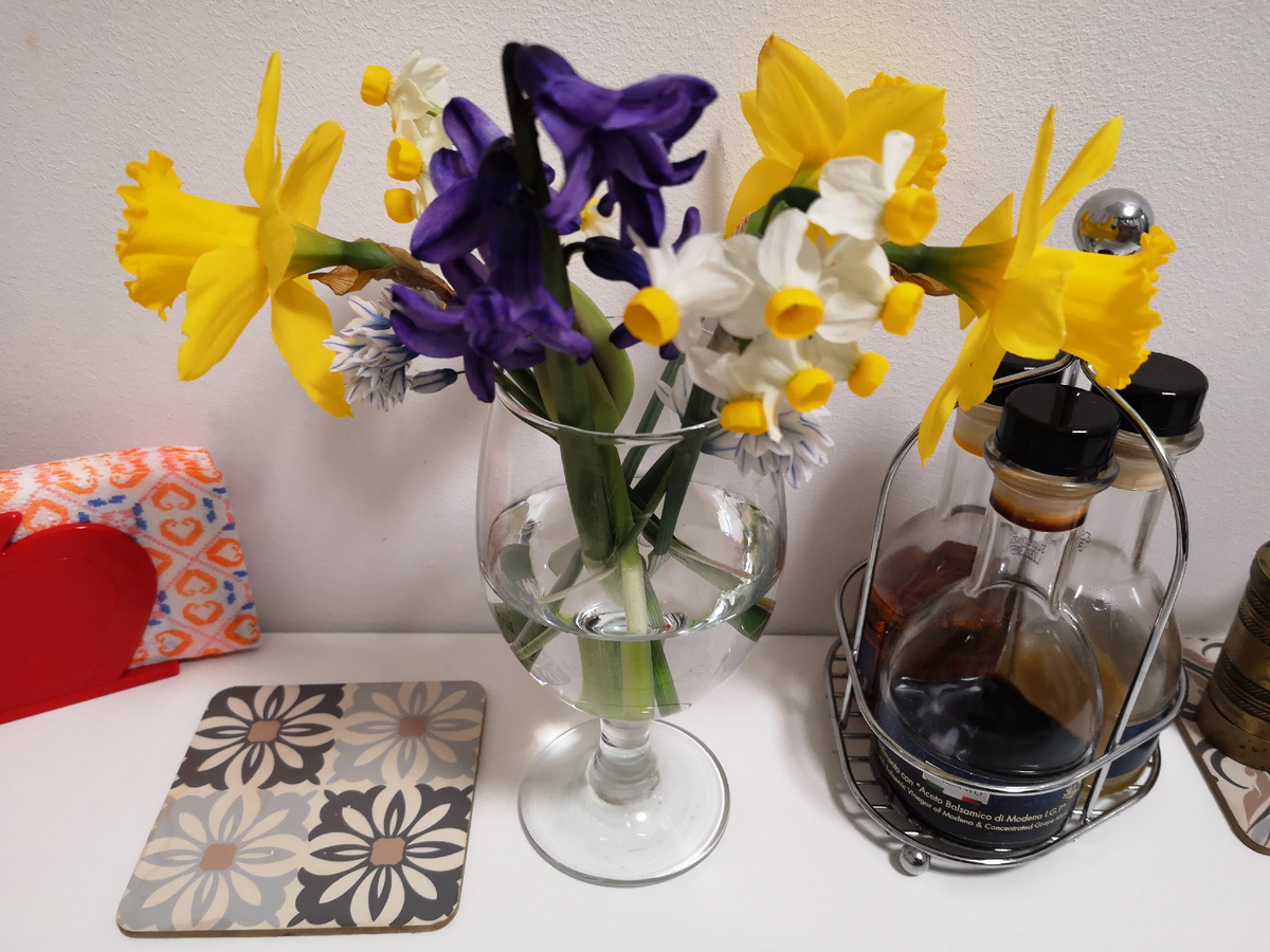 Нарциссы, гиацинт и пушкиния