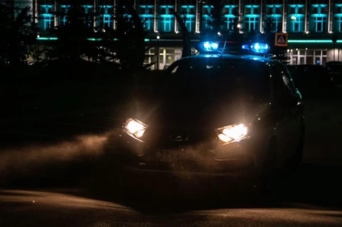    В Пензе задержали мужчин, которые битой разбили чужой автомобиль