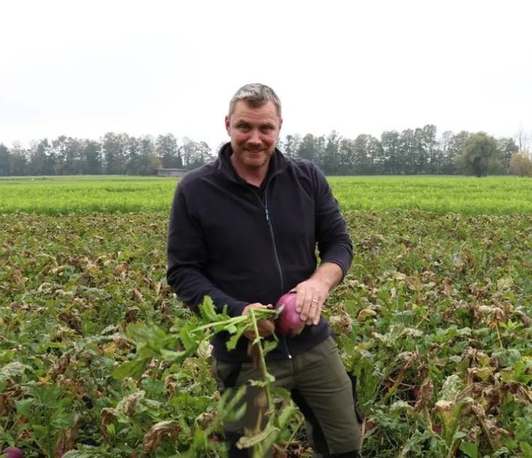    Репа как популярный и полезный свежий осенний овощ возвращается в Швейцарию
