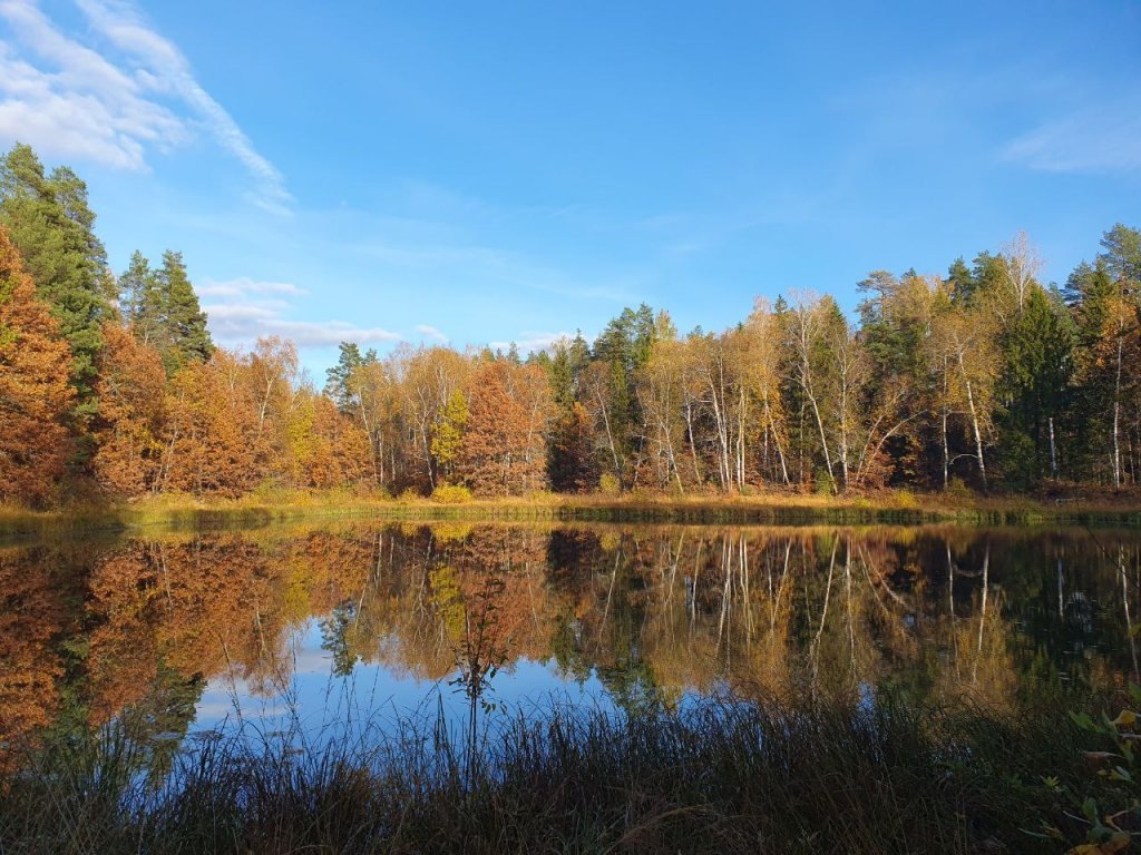 Фото: Ксения Ражева