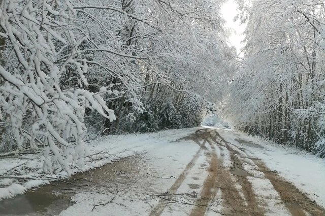    Фото: Из архива/ группа Вк