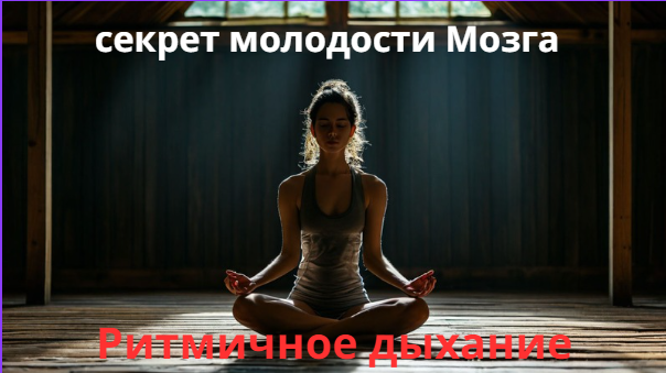 Омоложение мозга достигается простым ритмичным дыханием