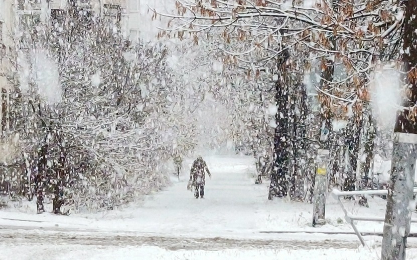    До 36% месячной нормы осадков выпало в Удмуртии за два дня