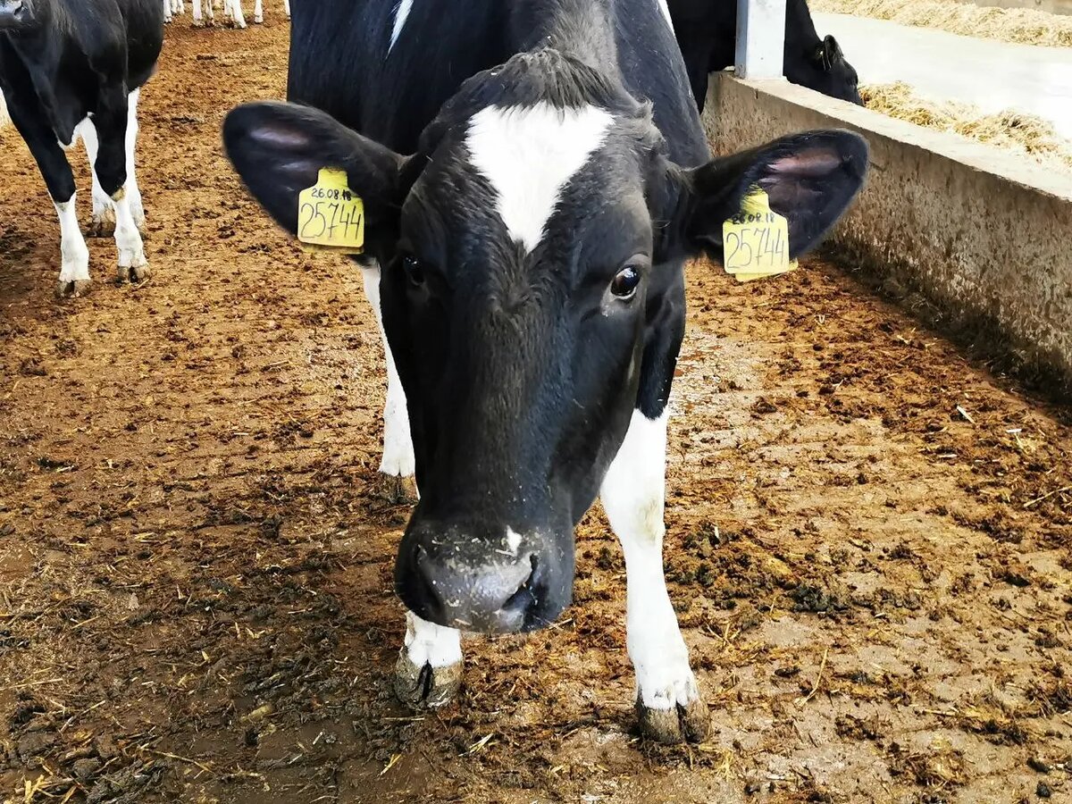     © "Интерфакс". Федор Ларин