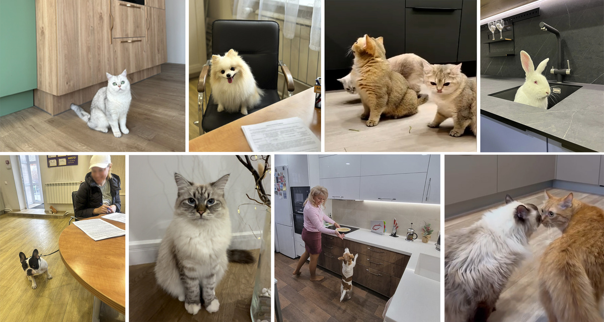 Домашние животные заказчиков "Кухни Место"