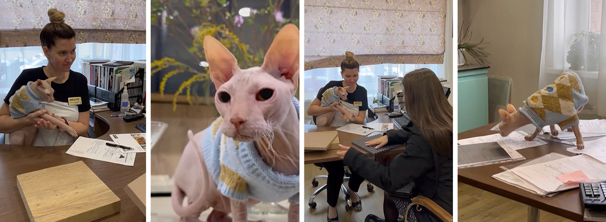 Заказ мебели в офисе "Кухни Место"