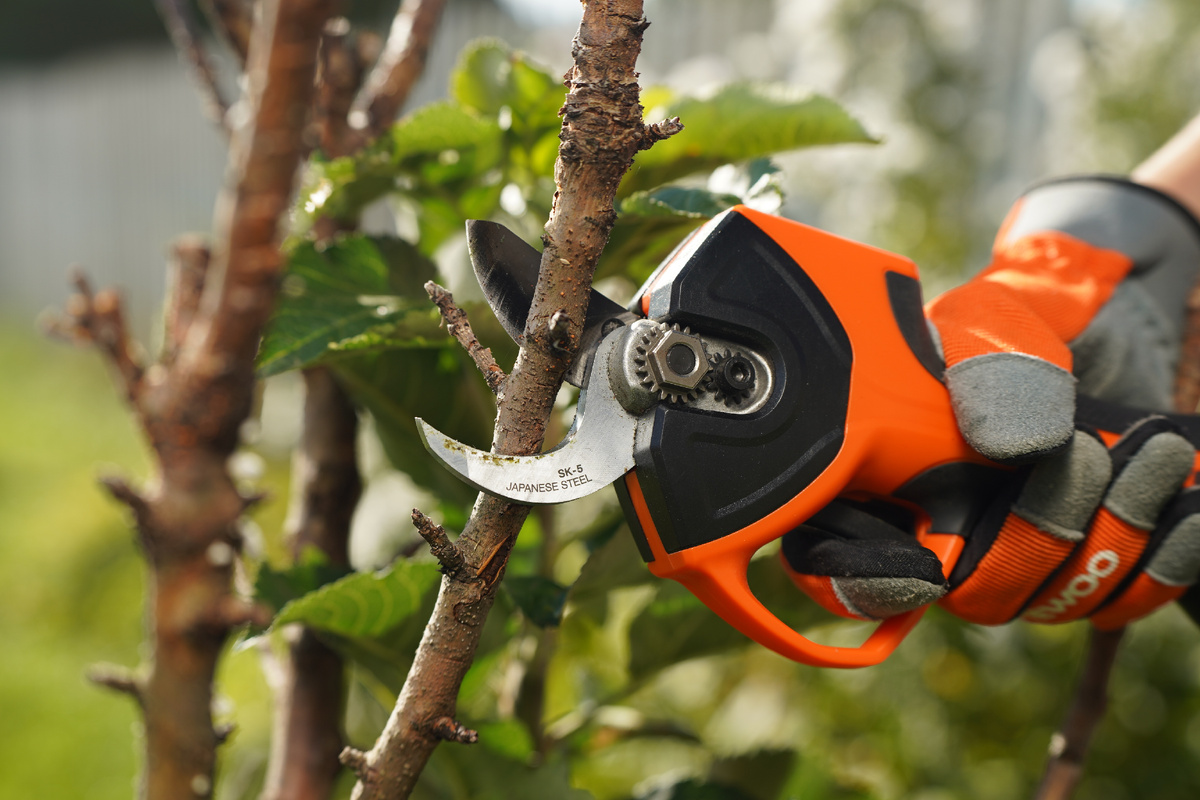 Новый аккумуляторный секатор  DAEWOO DAGP 3216Li Set подходит для веток толщиной до 32 мм